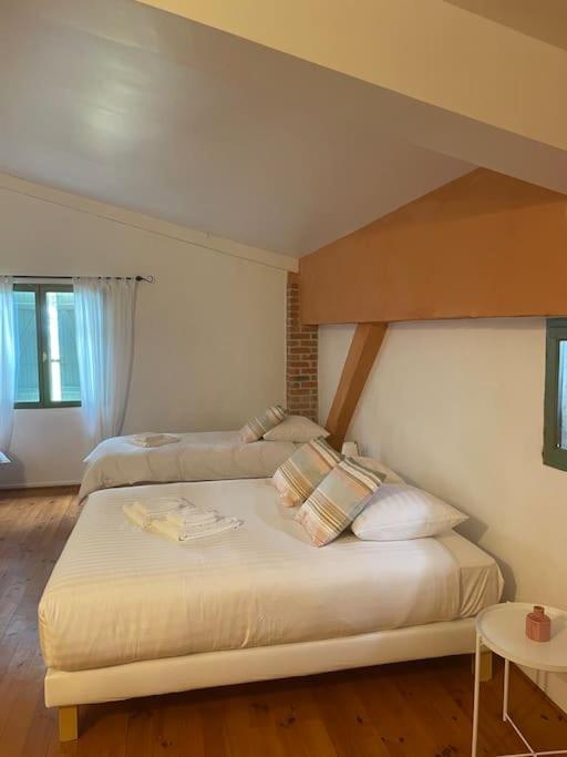 Lauraguel Holiday home *